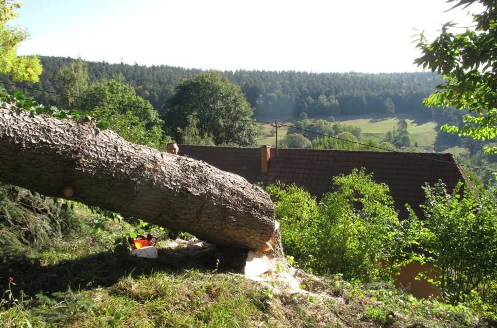 Service d’élagage abattage à Kaysersberg