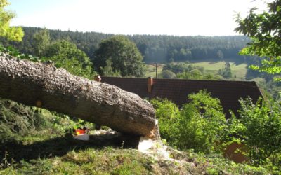 Service d’élagage abattage à Kaysersberg