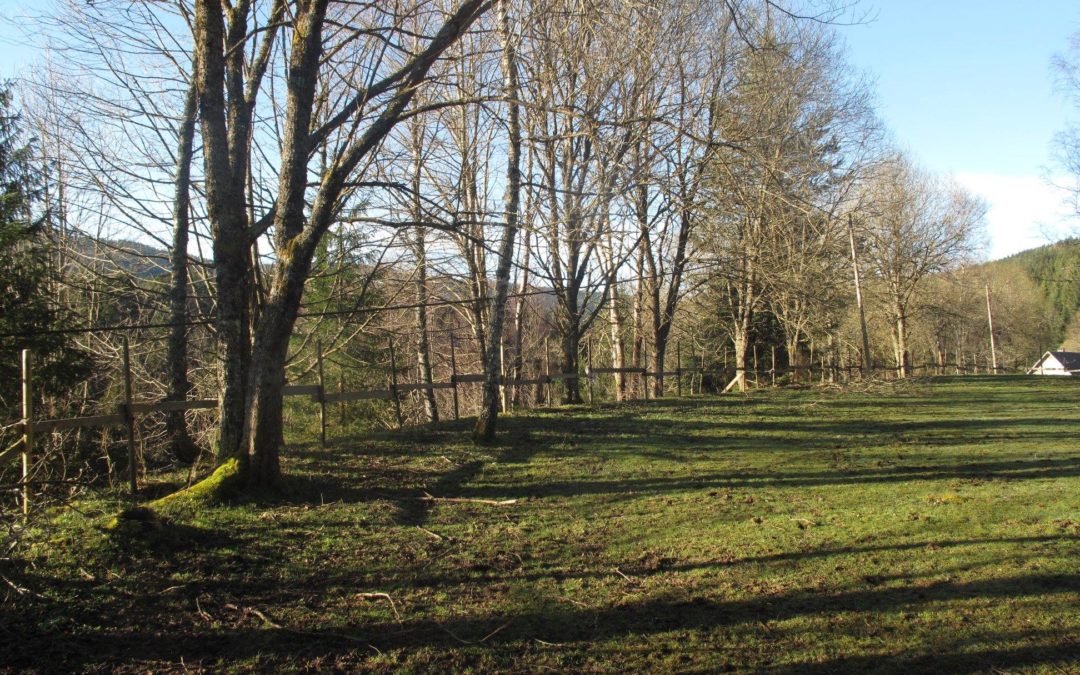 Vos travaux forestiers à Kaysersberg