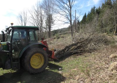 Travaux forestiers à Ingersheim
